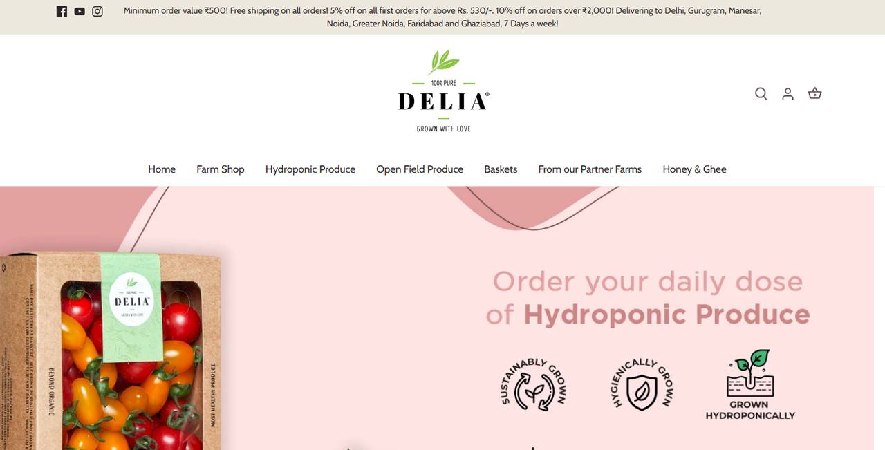 DELIA website homepage