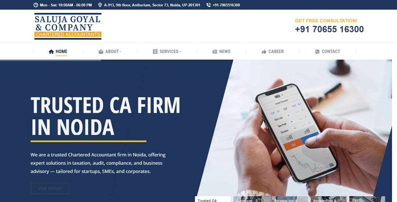 Saluja Goyal & Company website homepage