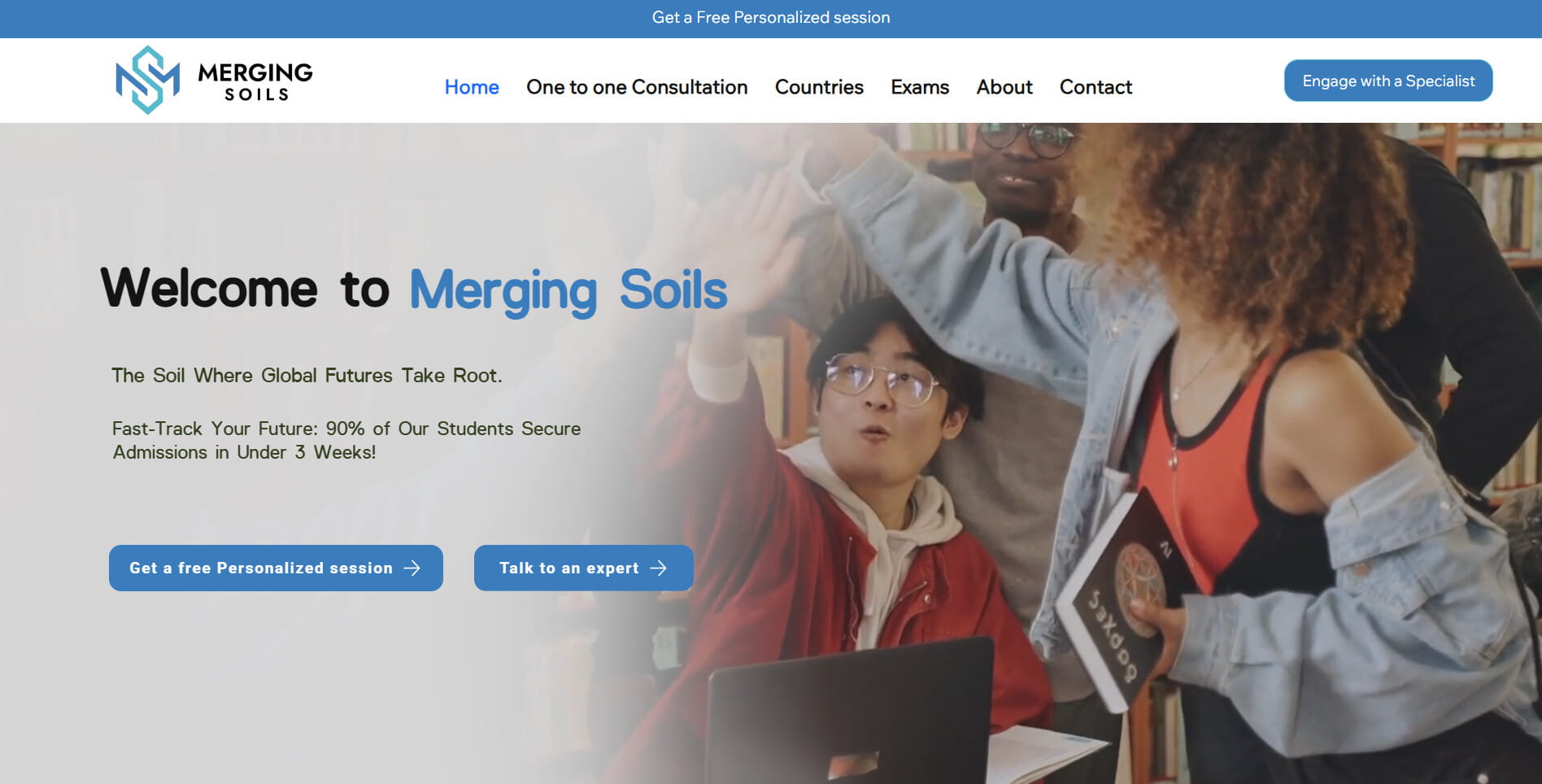 Merging Soils website homepage