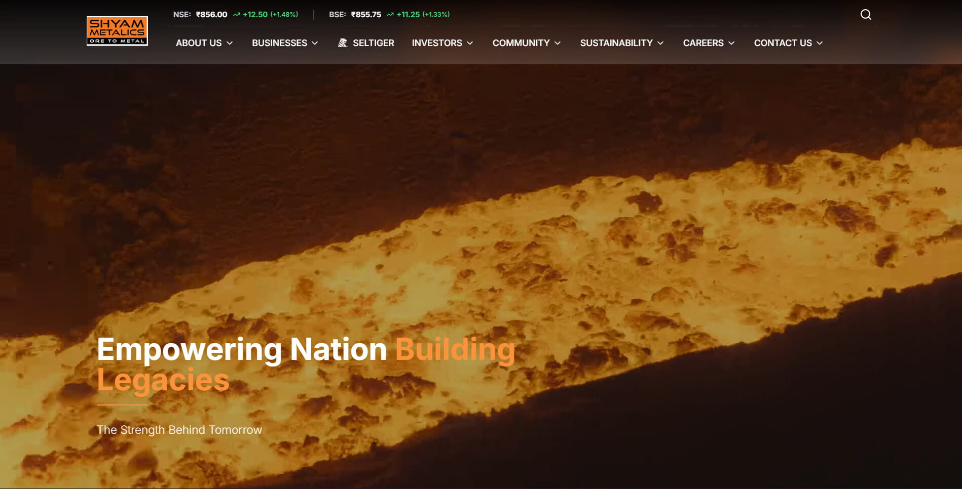 Shyam Metalics website homepage