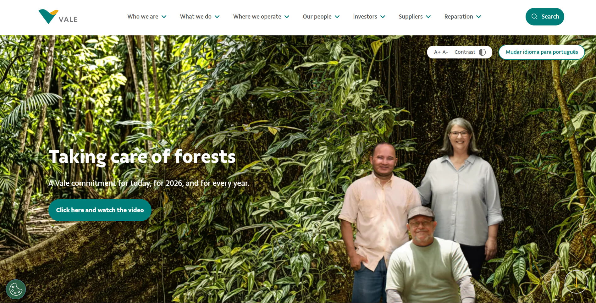 Vale website homepage